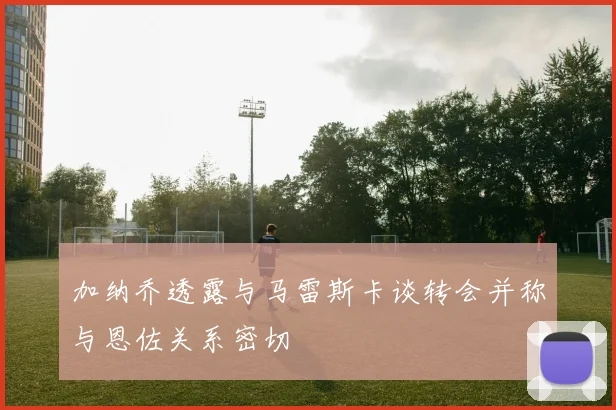 加纳乔透露与马雷斯卡谈转会并称与恩佐关系密切