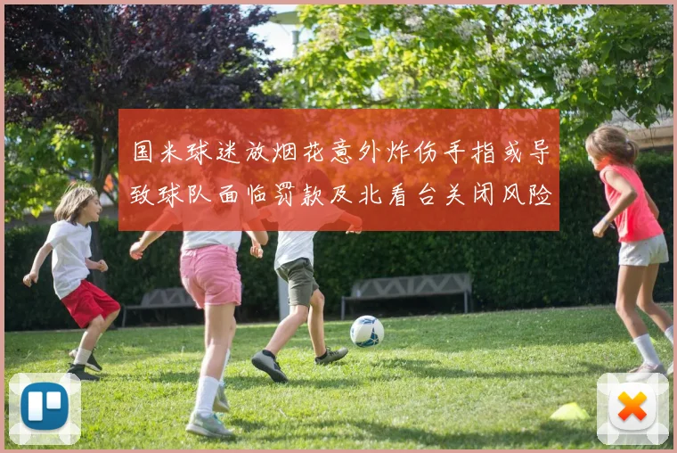 国米球迷放烟花意外炸伤手指或导致球队面临罚款及北看台关闭风险