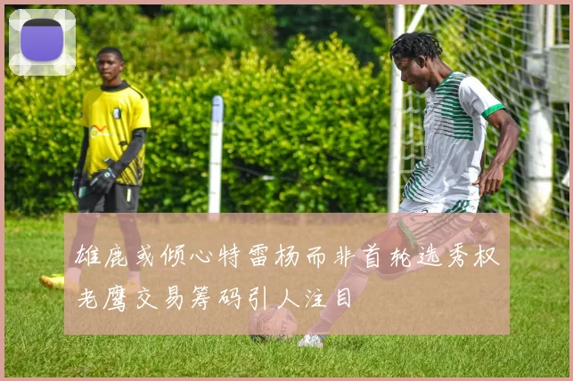雄鹿或倾心特雷杨而非首轮选秀权老鹰交易筹码引人注目