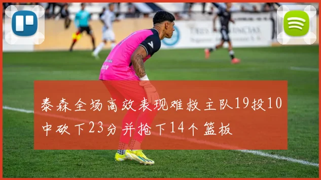 泰森全场高效表现难救主队19投10中砍下23分并抢下14个篮板